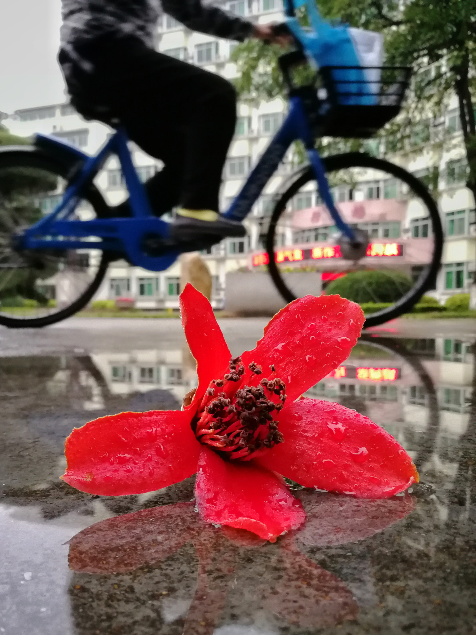 HUAWEI Honor V9 sample photo