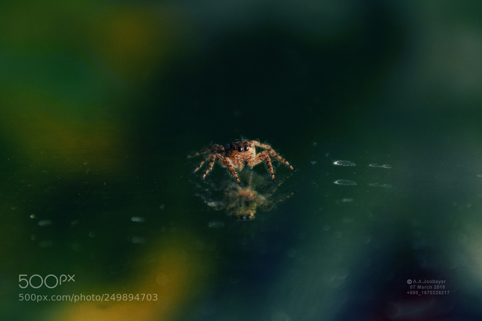 Nikon D7200 sample photo. Jumper photography