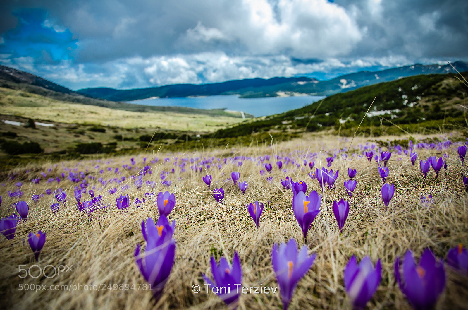 Nikon D5100 sample photo. Spring is coming photography