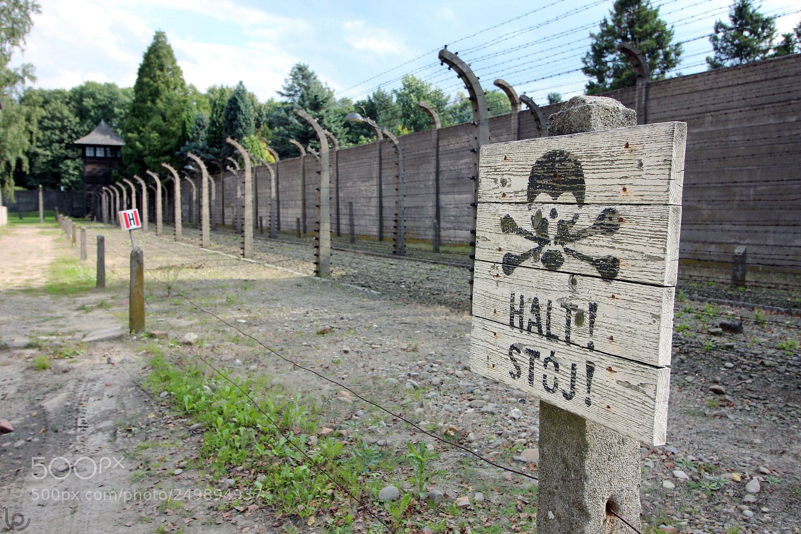 Canon EOS 600D (Rebel EOS T3i / EOS Kiss X5) sample photo. Halt! photography