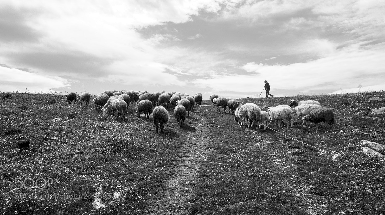 Ricoh GR II sample photo. Borj lella photography