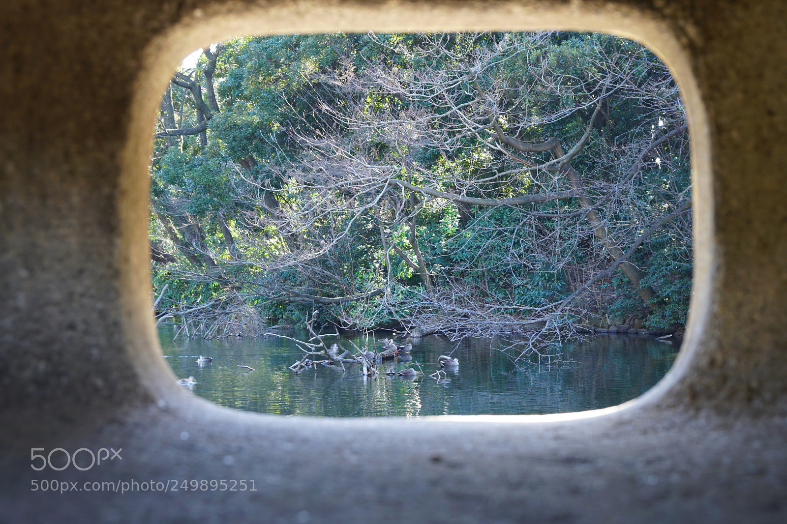 Sony a6300 sample photo. Dsc photography