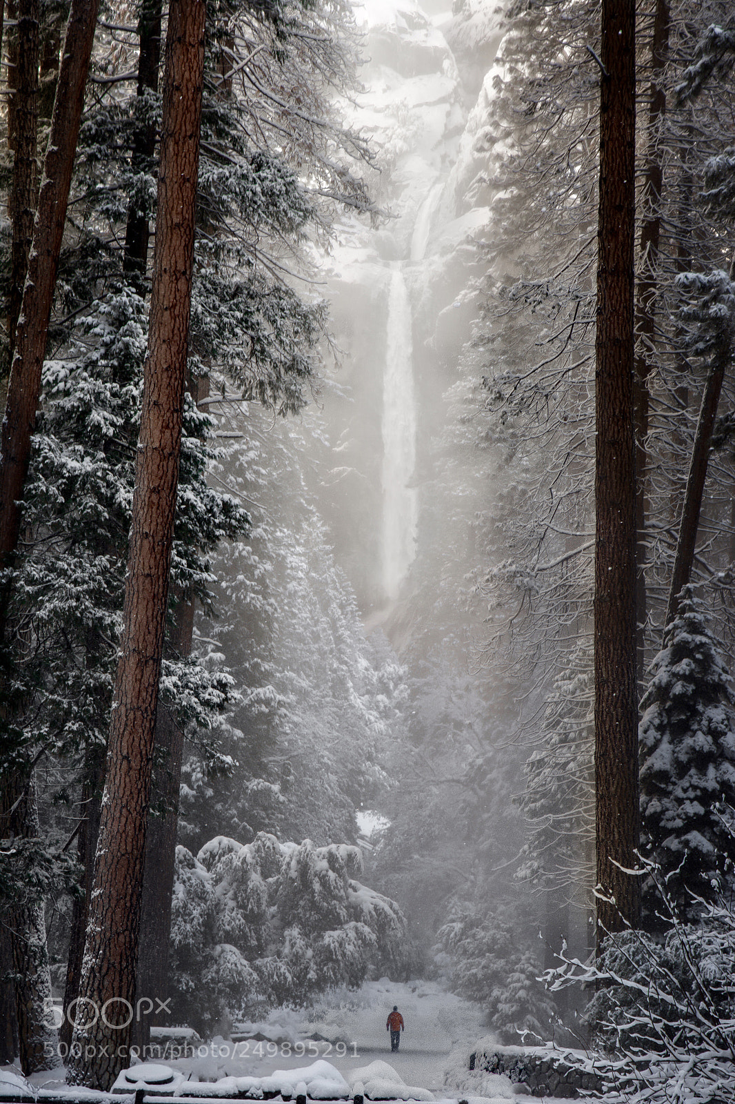 Nikon D7100 sample photo. Winter wonderland photography