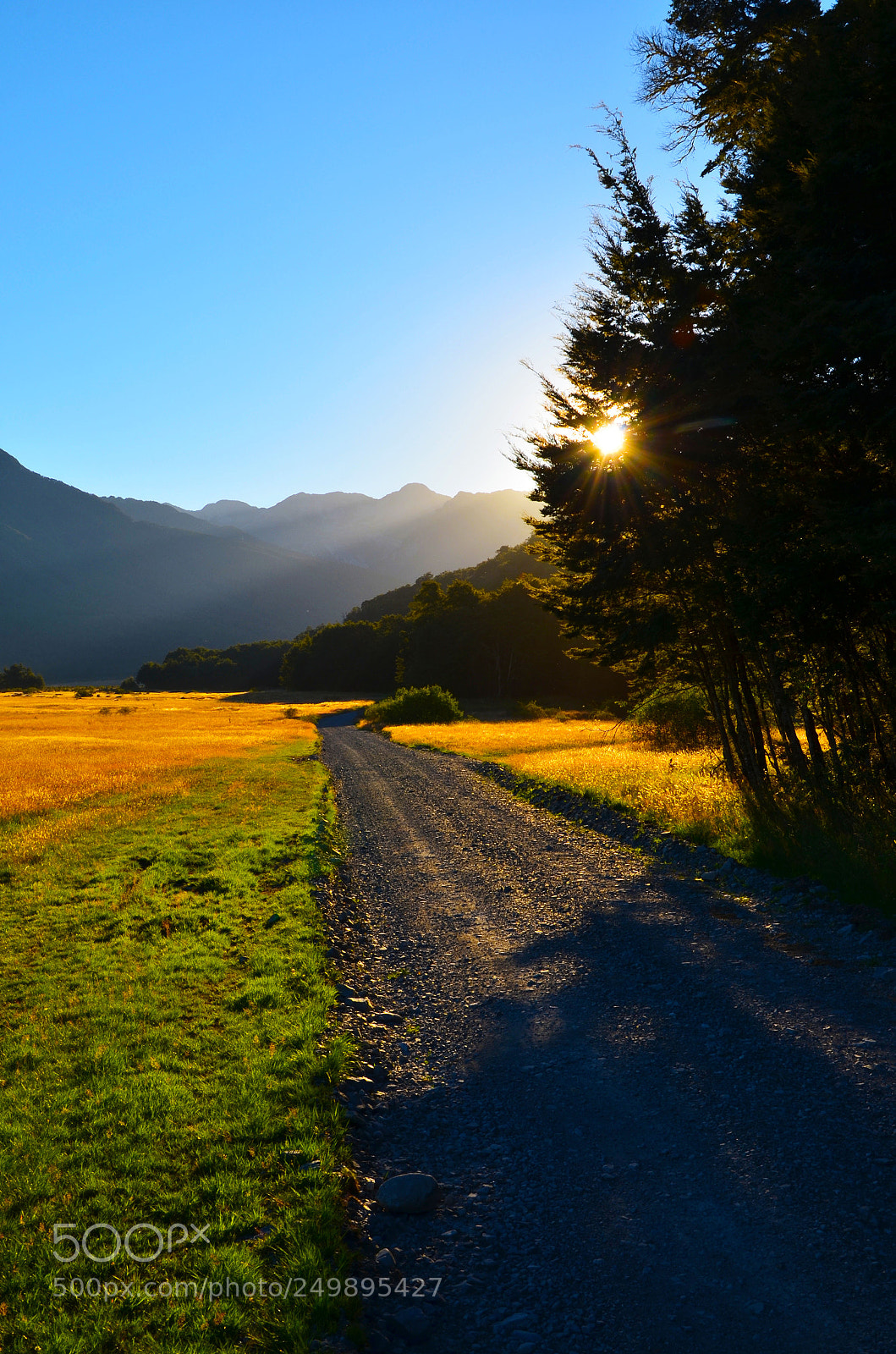 Nikon D5100 sample photo. Waimakariri river area photography