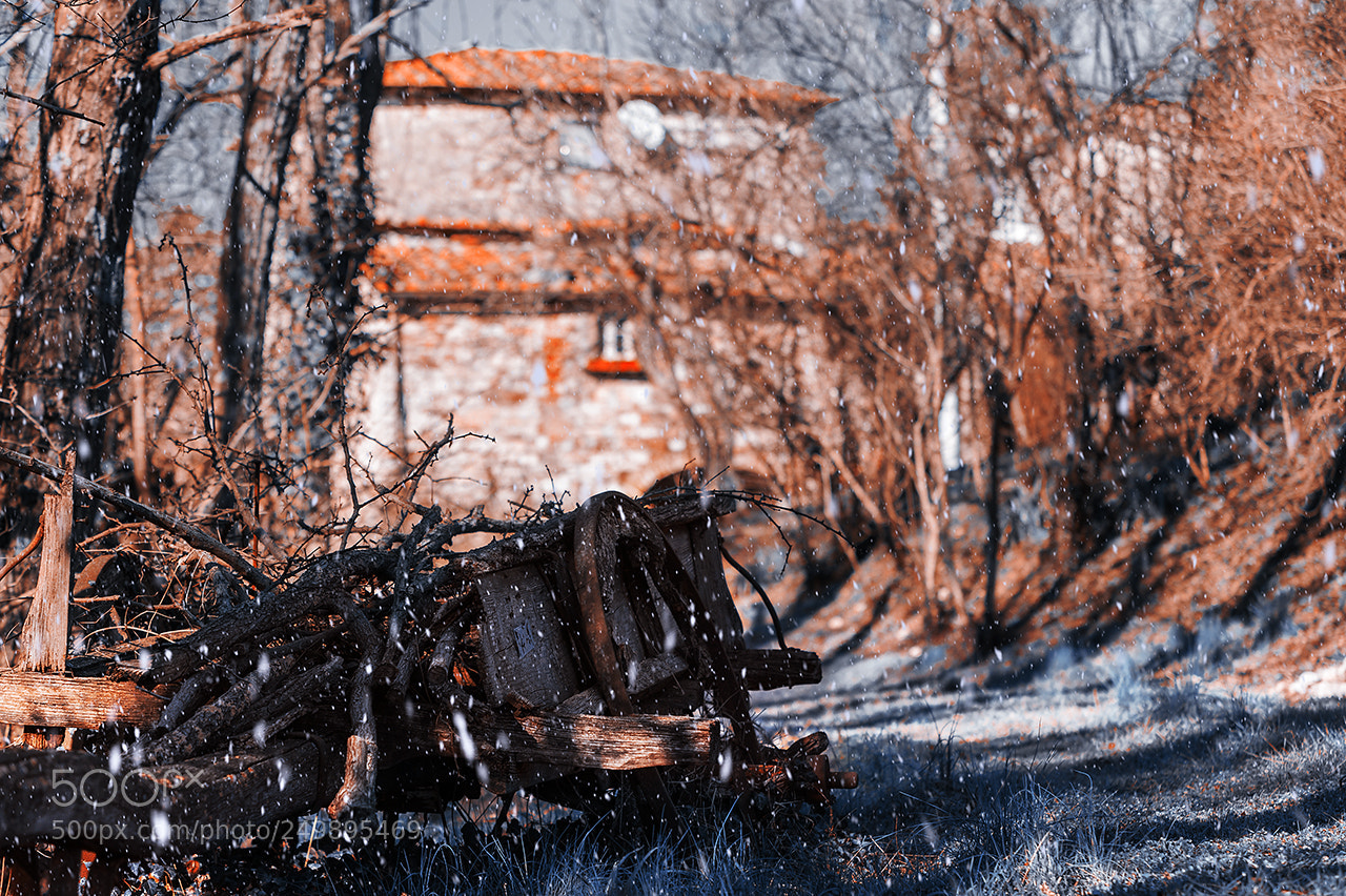 Nikon D700 sample photo. Snow is coming photography