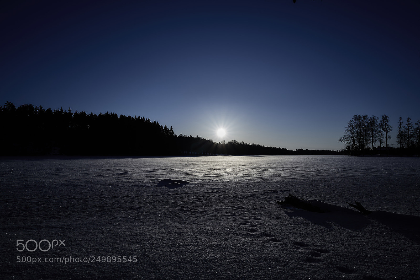 Nikon D800E sample photo. Fight the darkness photography