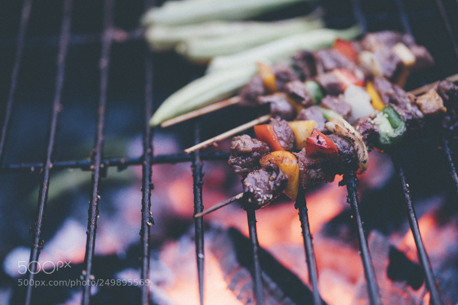 Sony a7R II sample photo. Bbq photography