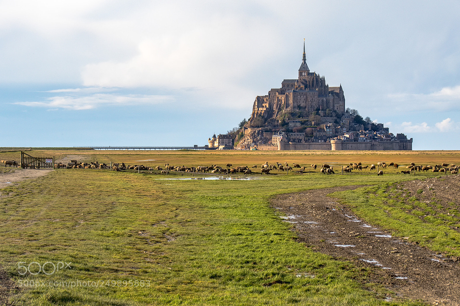 Canon EOS 7D Mark II sample photo. Le mont saint michel photography