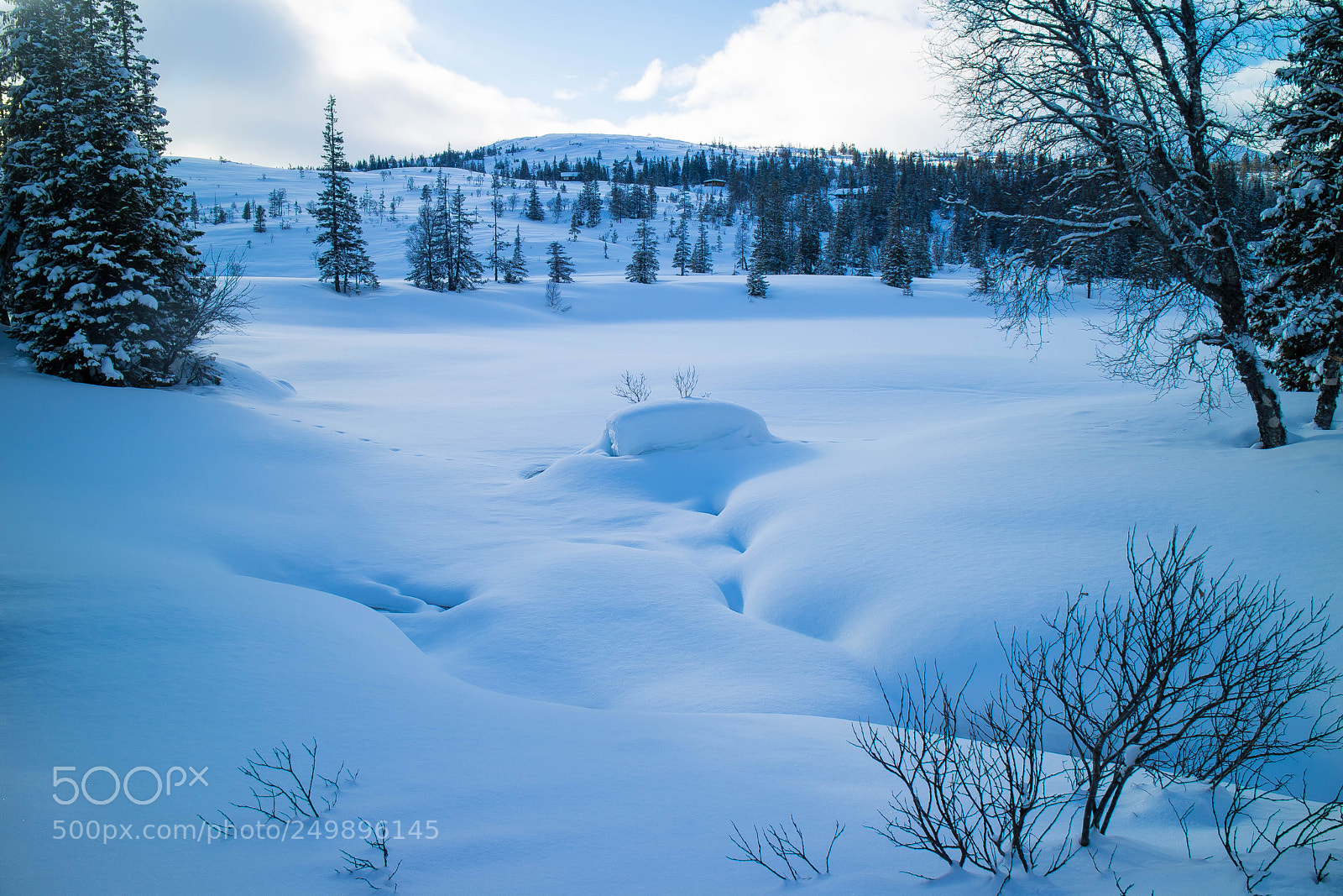 Canon EOS M3 sample photo. Snow landscape ii photography