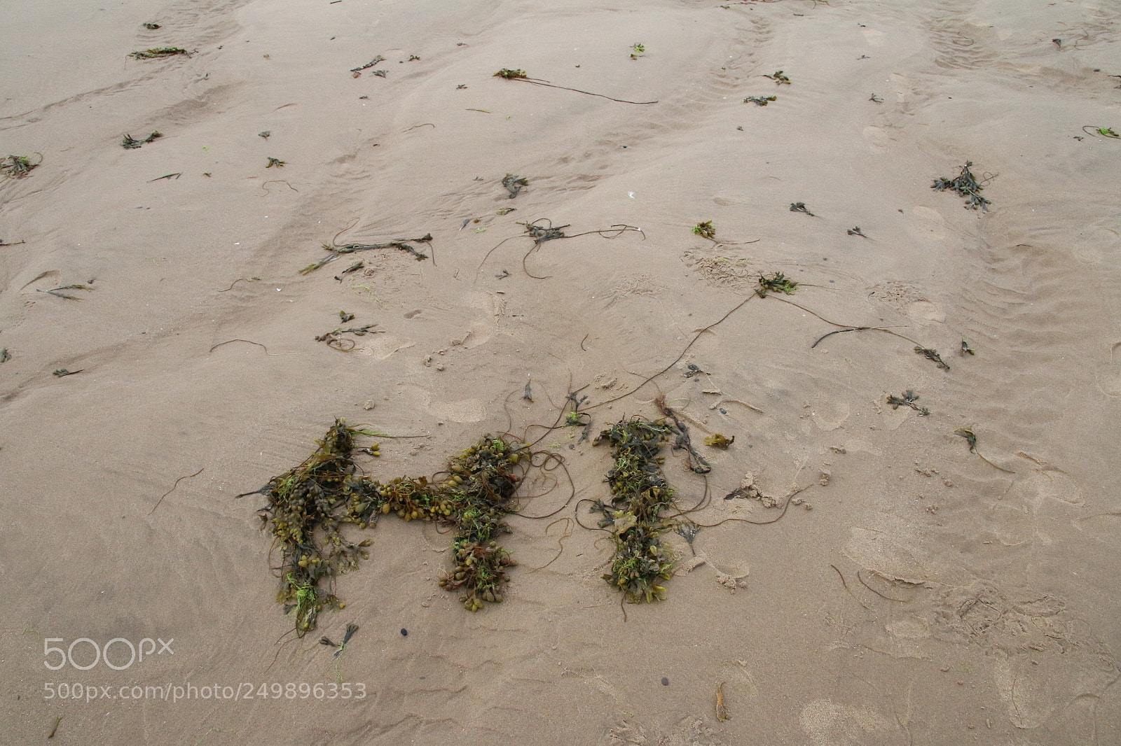 Canon EOS 70D sample photo. Word hi made out photography