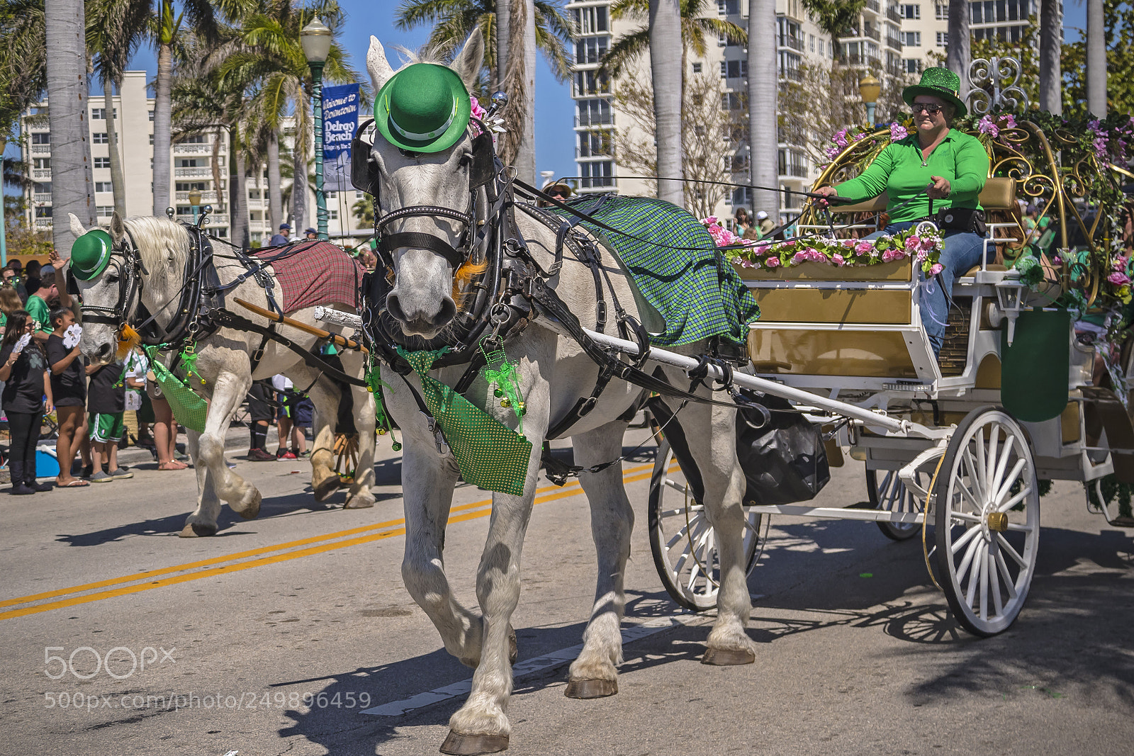 Canon EOS 7D Mark II sample photo. St. patrick day parade photography