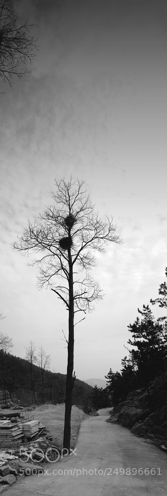 Fujifilm X70 sample photo. Title photography