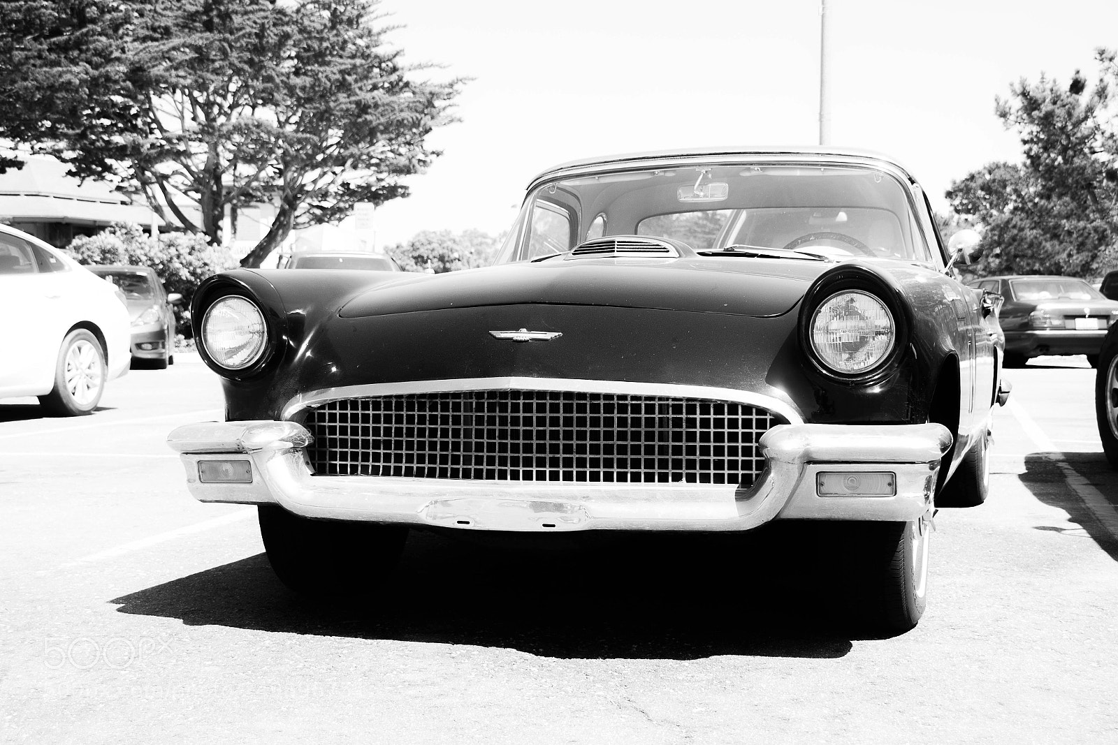 Canon EOS 600D (Rebel EOS T3i / EOS Kiss X5) sample photo. Ford thunderbird photography