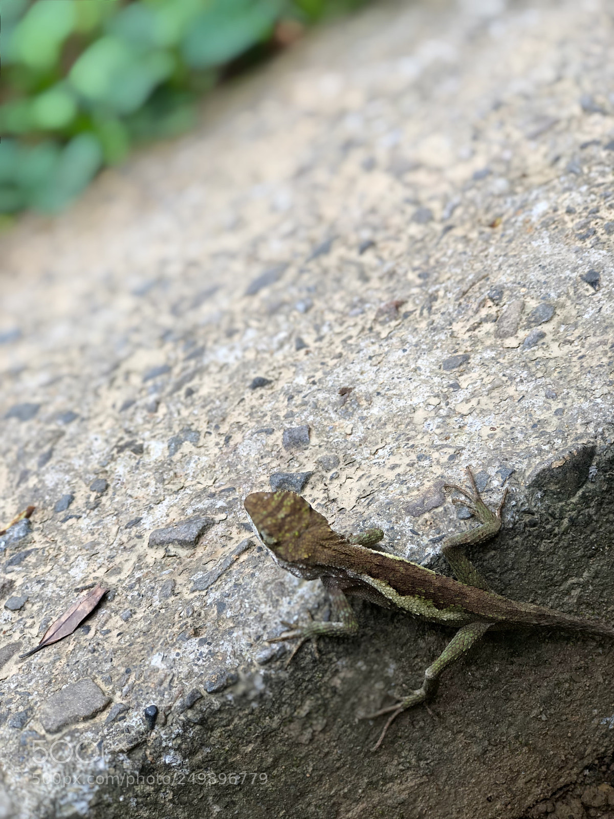 Apple iPhone 8 Plus sample photo. Hey i'm just passing photography