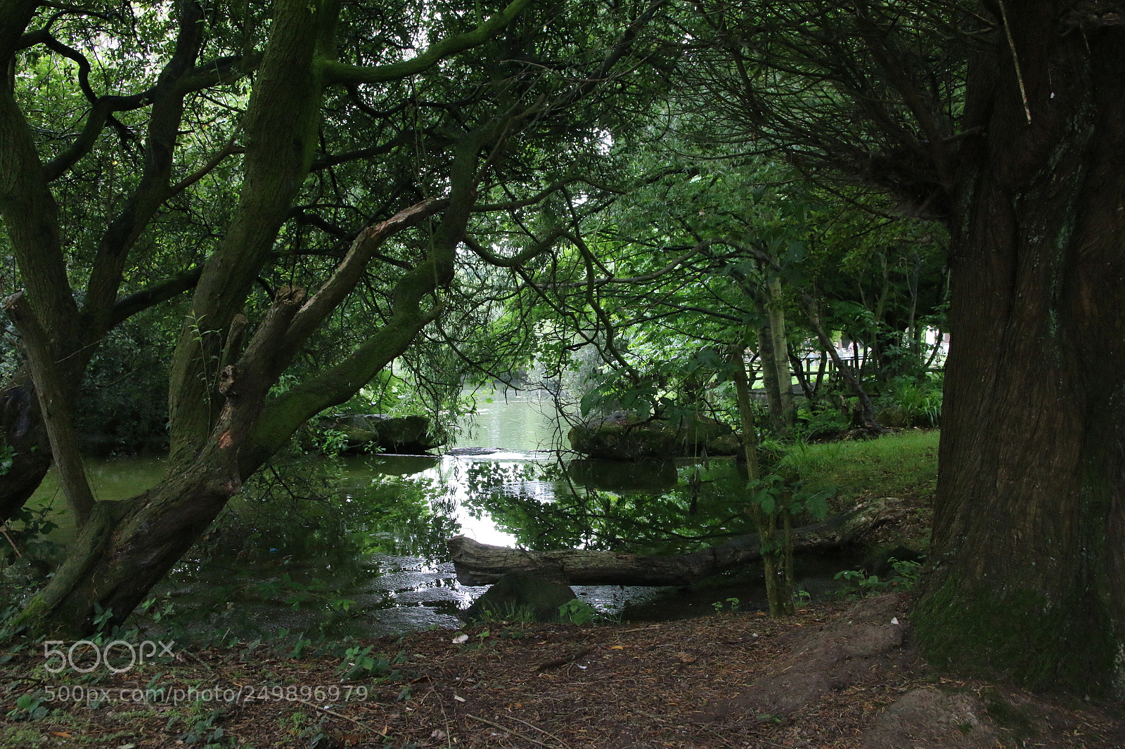 Canon EOS 70D sample photo. !img photography