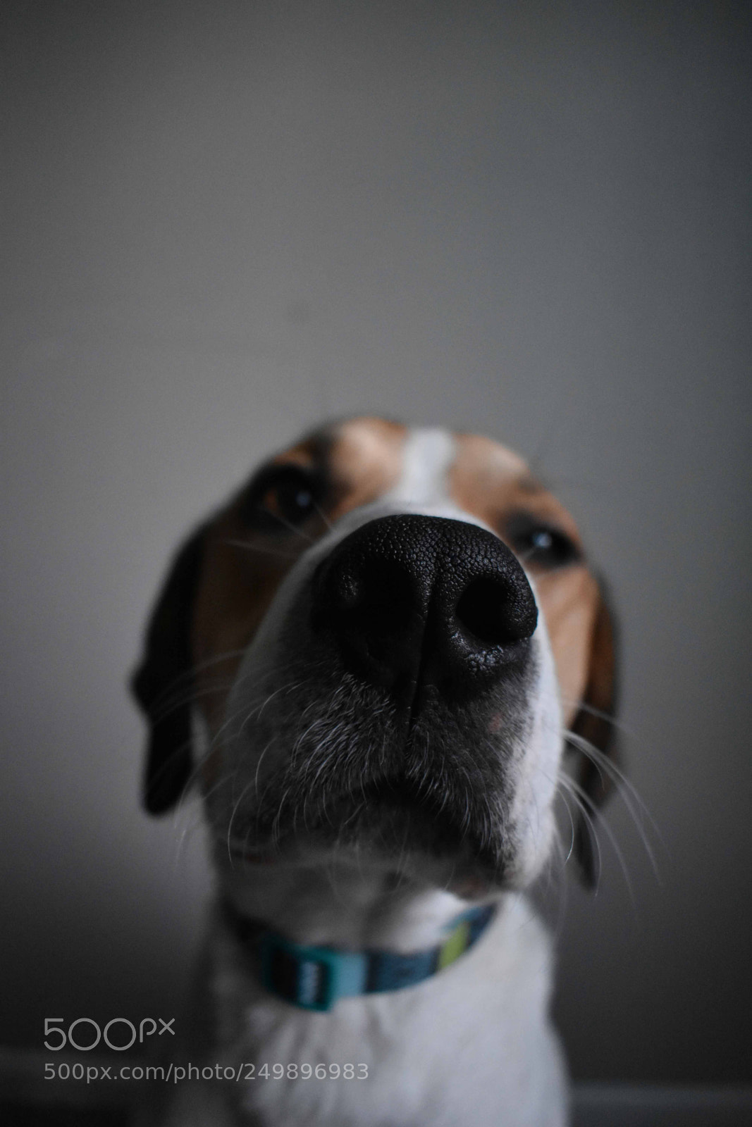 Nikon D3400 sample photo. The portrait of a photography