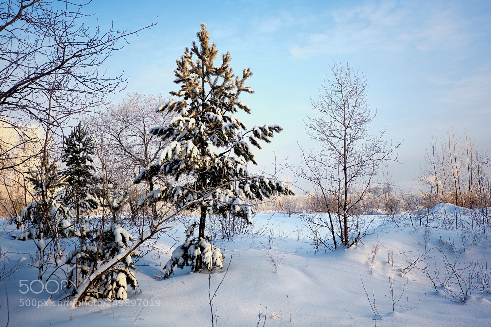 Fujifilm X-M1 sample photo. Untitled photography