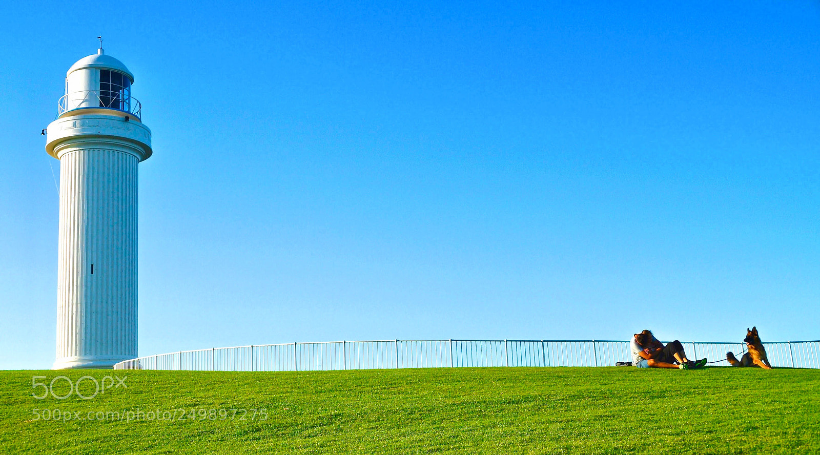 Sony SLT-A57 sample photo. Summer life photography