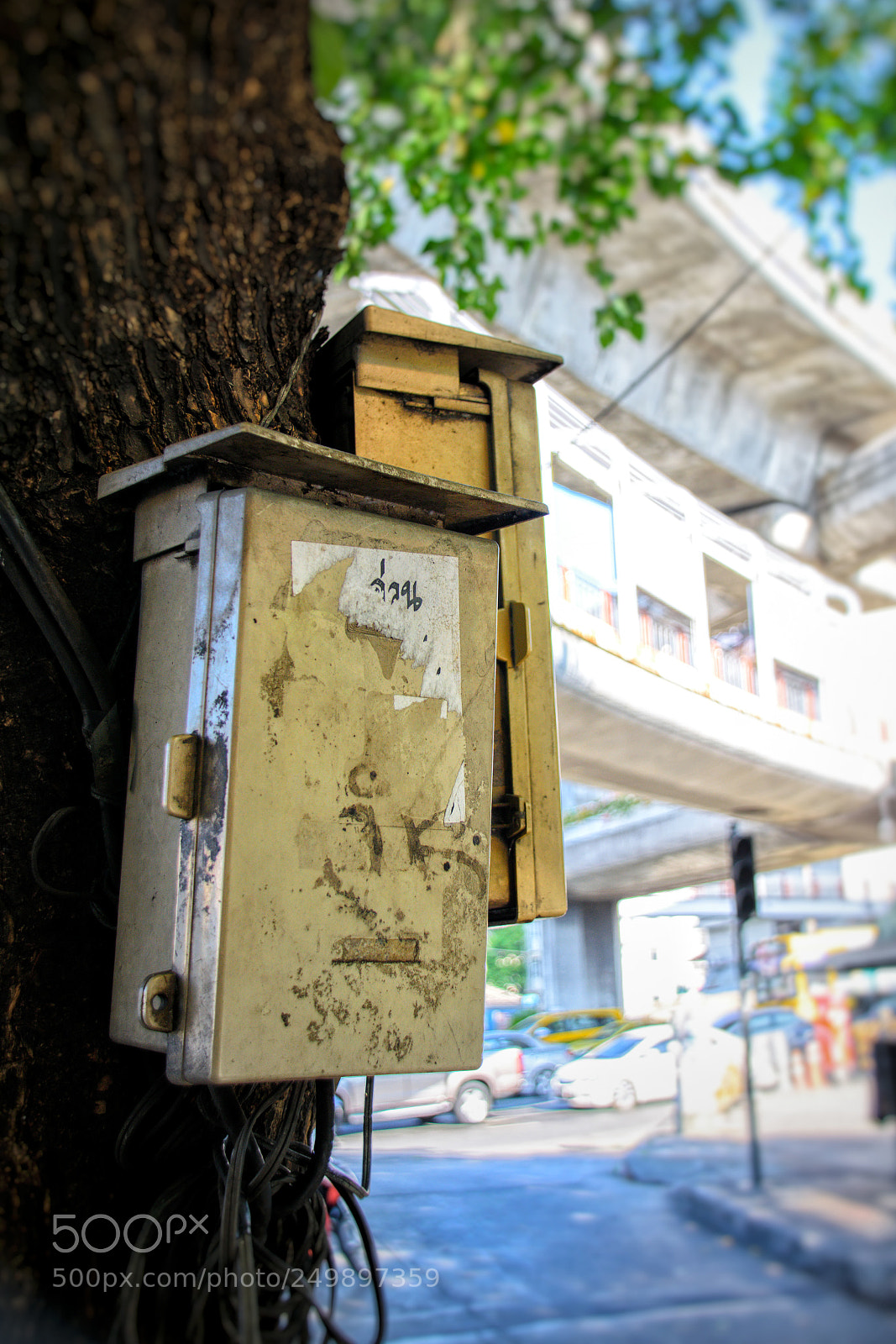 Nikon D5300 sample photo. Untitled photography