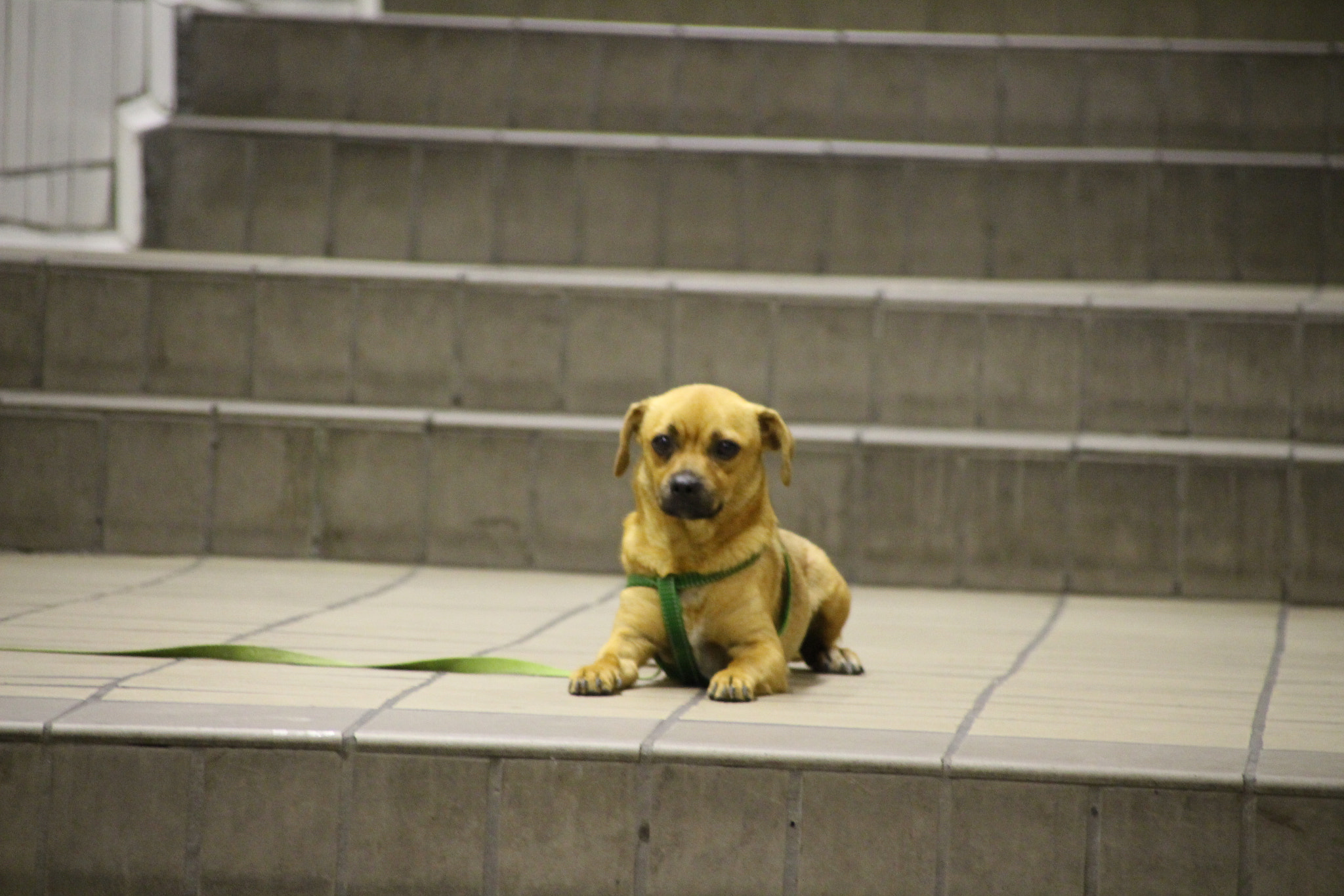 Canon EOS 700D (EOS Rebel T5i / EOS Kiss X7i) + Canon TS-E 90mm F2.8 Tilt-Shift sample photo. Metro photography