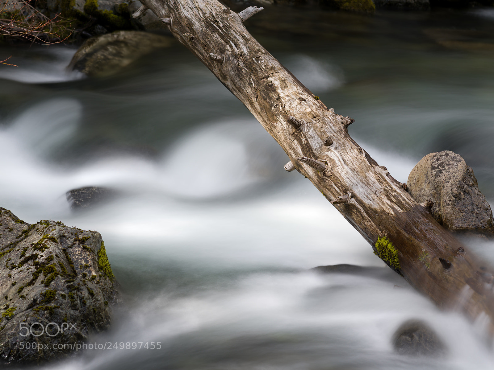 Pentax 645Z sample photo. Patrick creek photography
