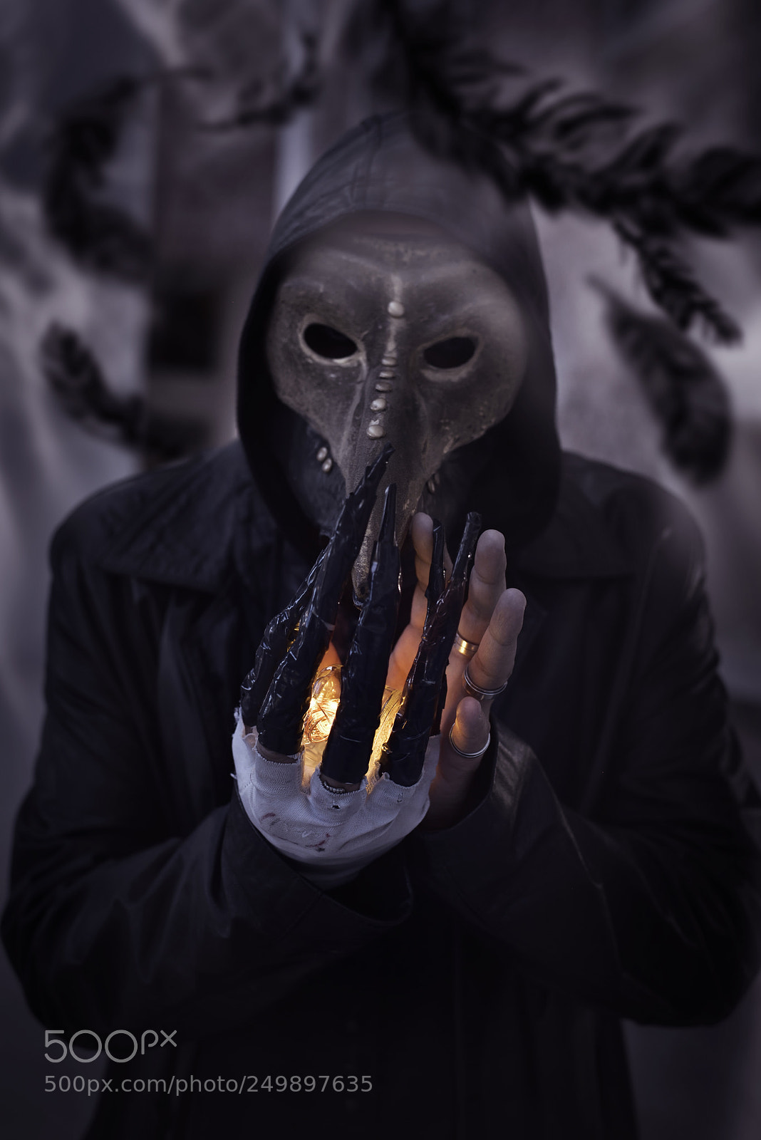 Nikon D810 sample photo. Corvus corax photography