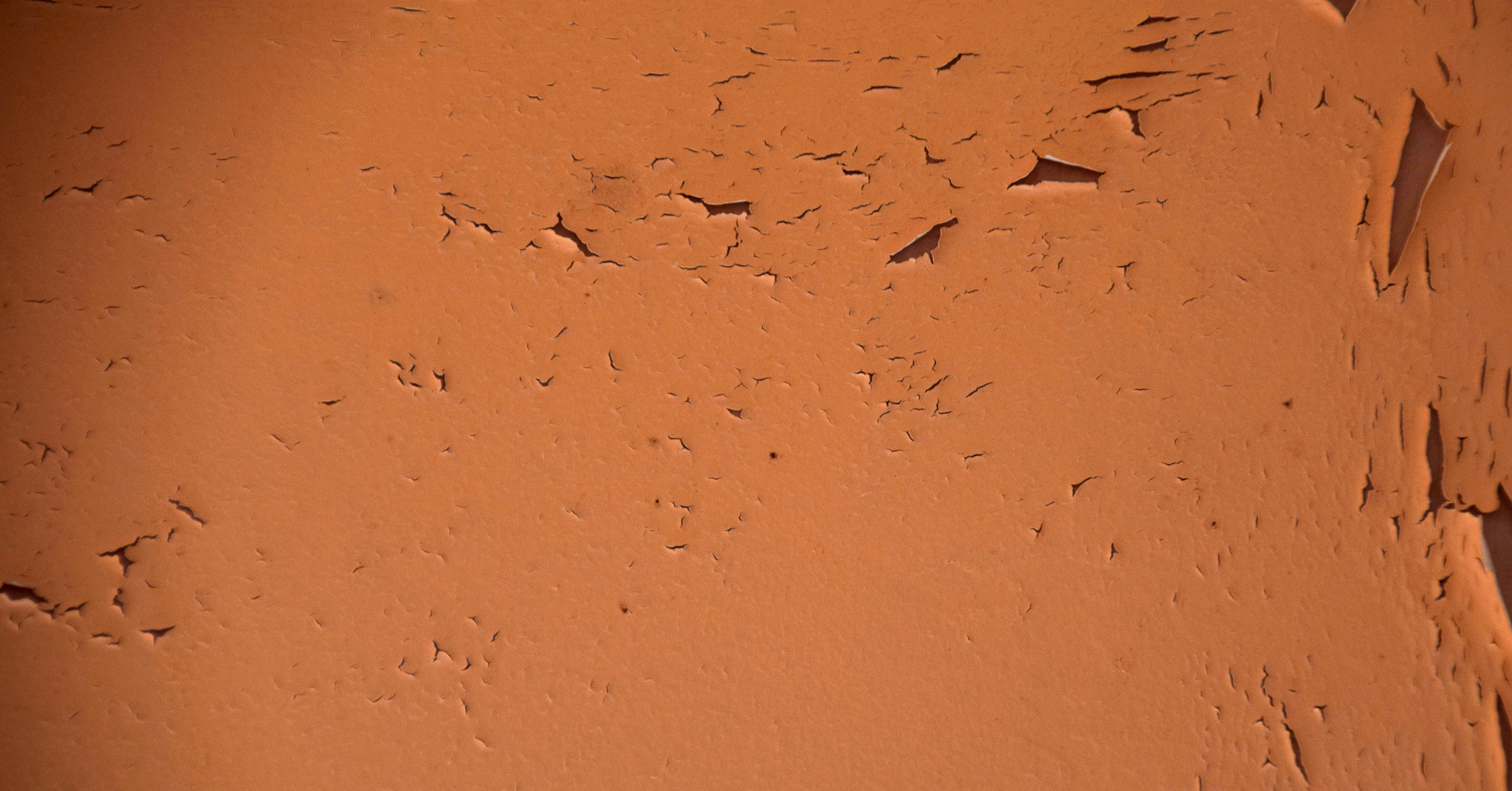Nikon D3300 sample photo. Cracked paint photography