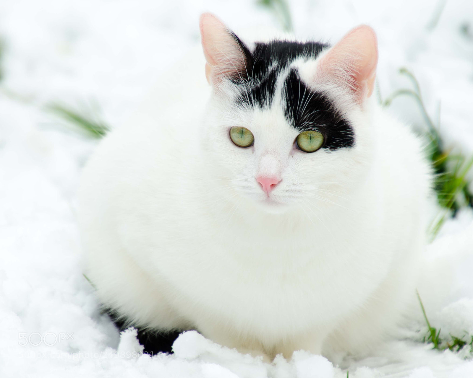 Nikon D7000 sample photo. Isis snow photography