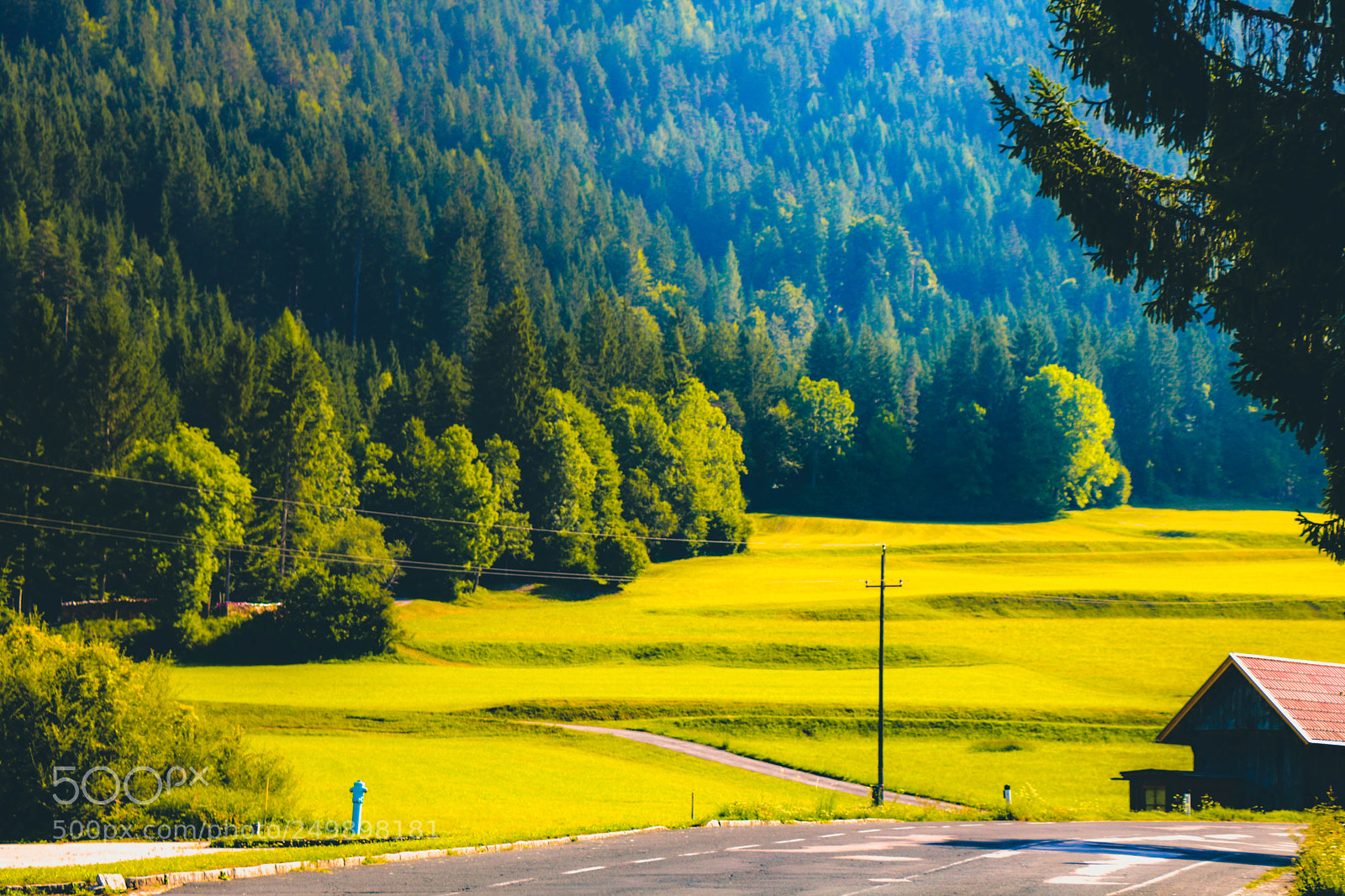 Canon EOS 750D (EOS Rebel T6i / EOS Kiss X8i) sample photo. Big meadow photography