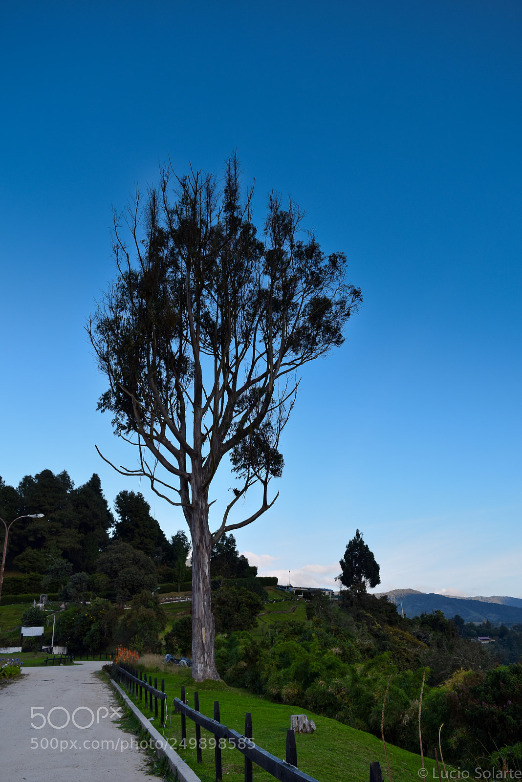 Nikon D3300 sample photo. Solitario photography
