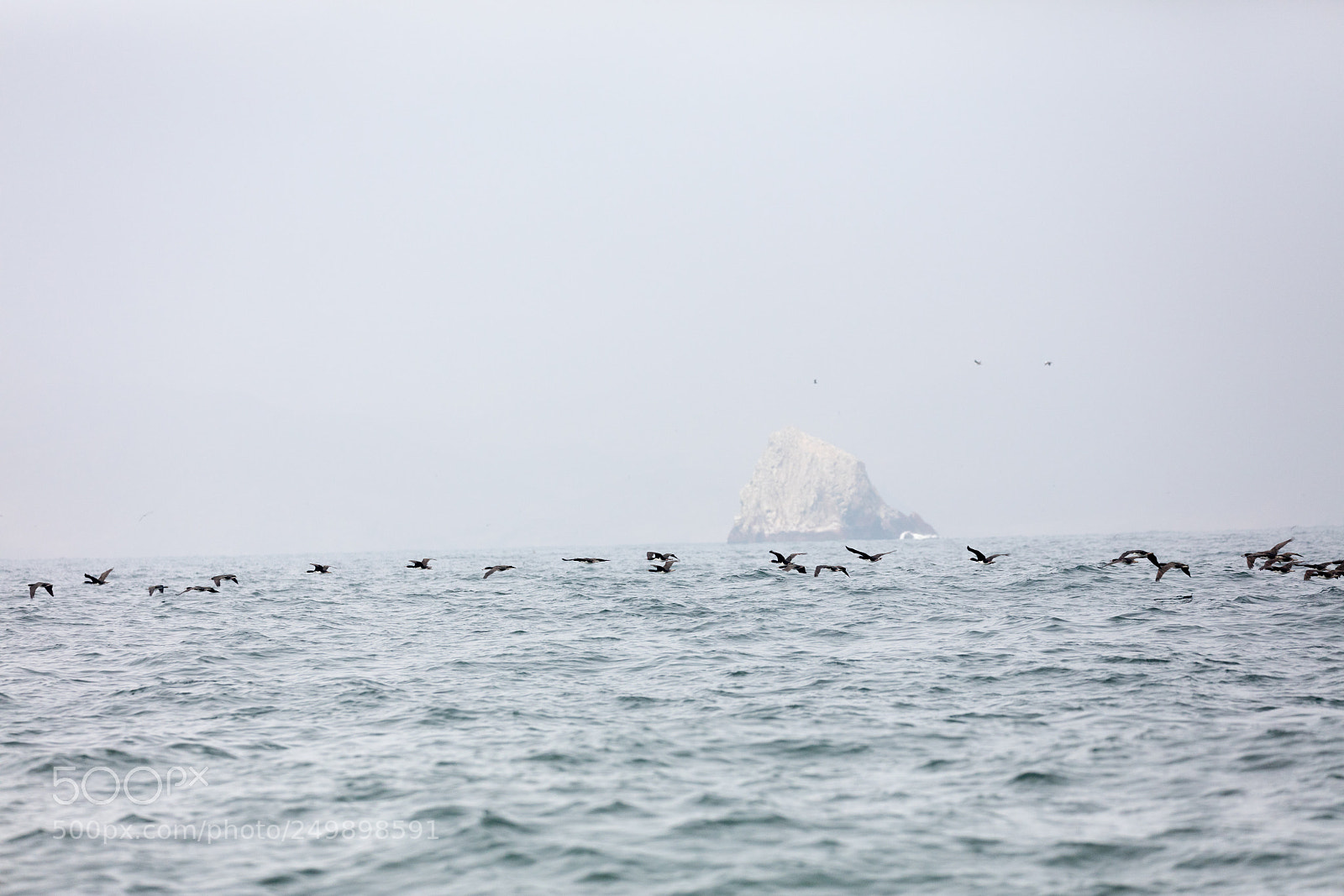 Canon EOS 5DS R sample photo. Ballestas islands, peru photography