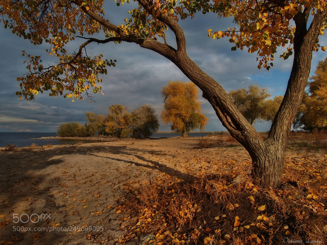 Olympus E-3 sample photo. The colors of autumn photography
