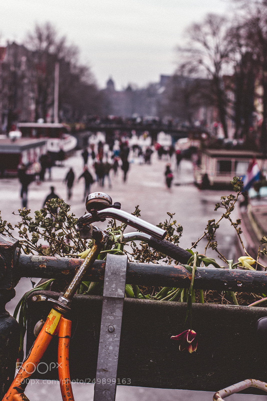 Nikon D7200 sample photo. Amsterdam effect photography