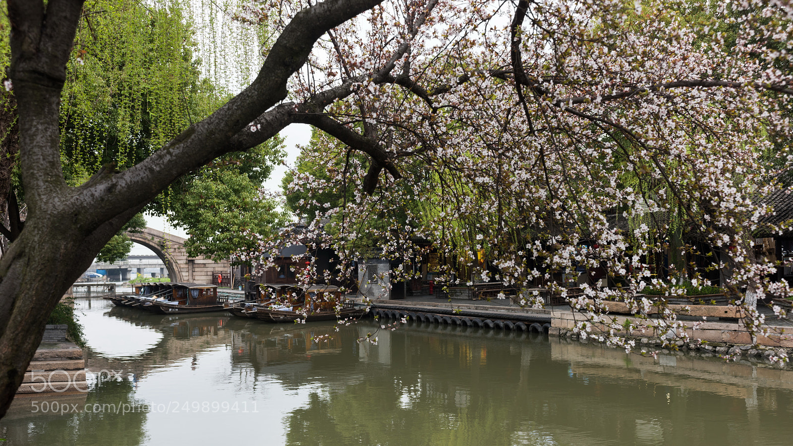 Nikon D810 sample photo. Xi tang ancient town 西塘 photography