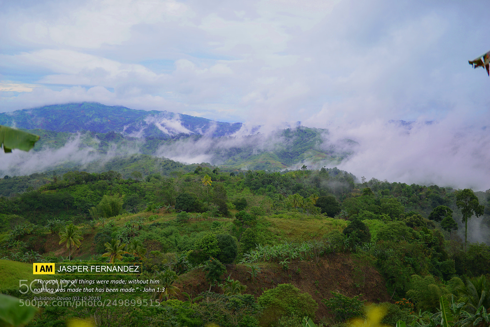 Nikon D800 sample photo. Nature - buda photography