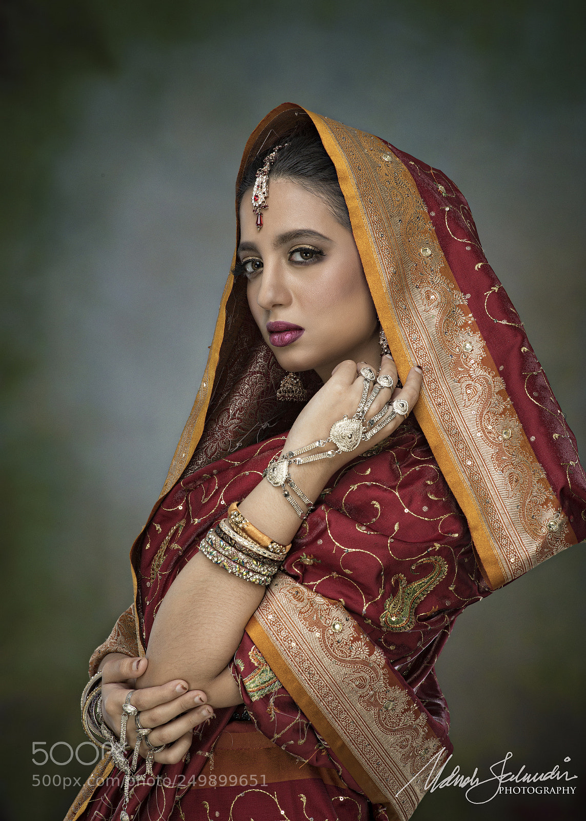 Nikon D800E sample photo. Saree- yasmin photography