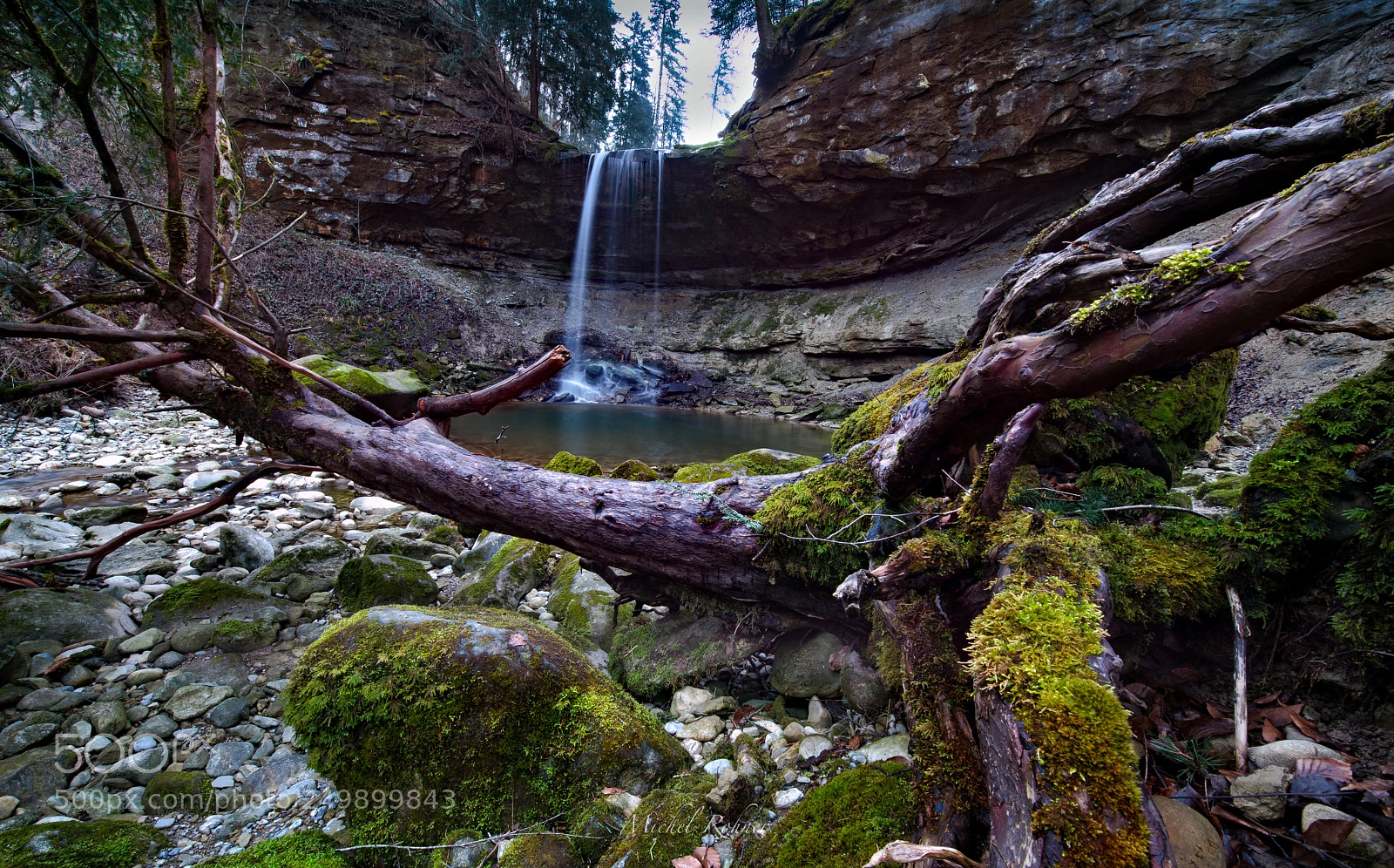 Nikon D800 sample photo. Sound of nature photography