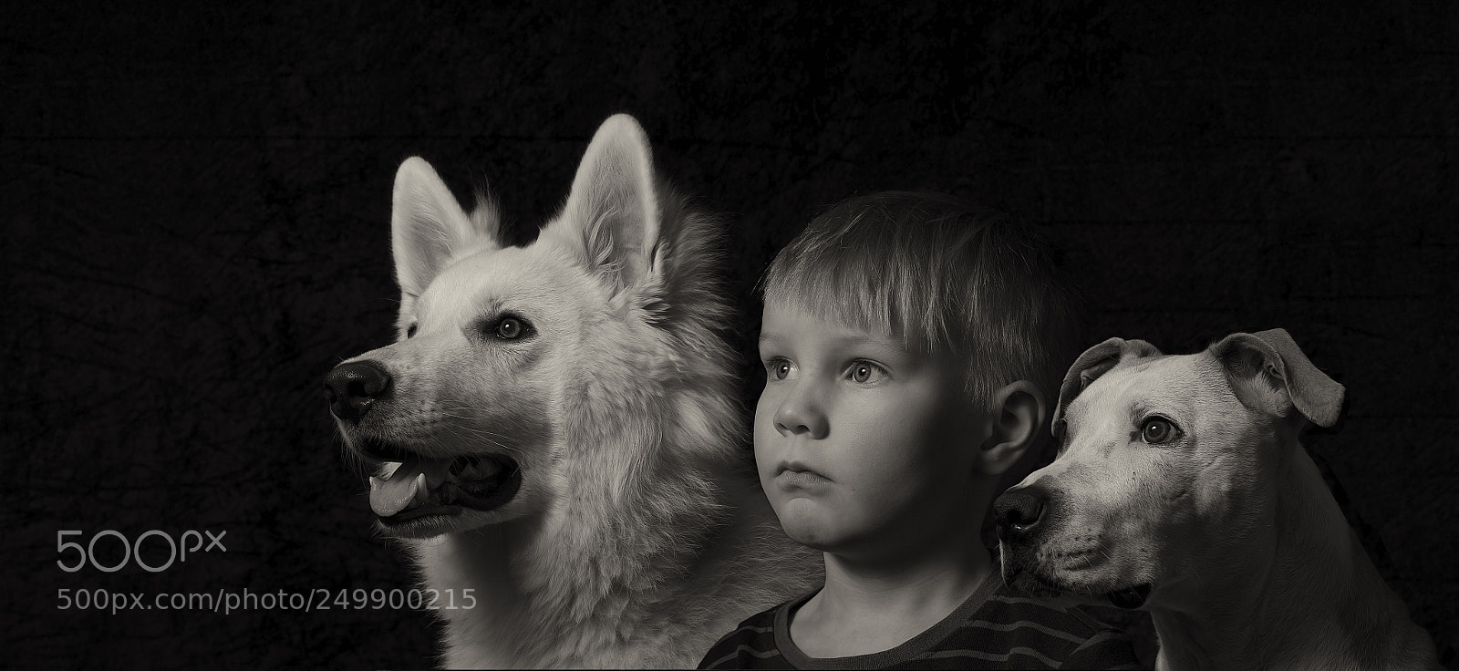 Sony ILCA-77M2 sample photo. Untitled photography