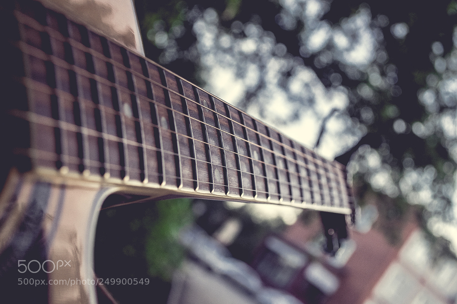 Nikon D3100 sample photo. Art photography