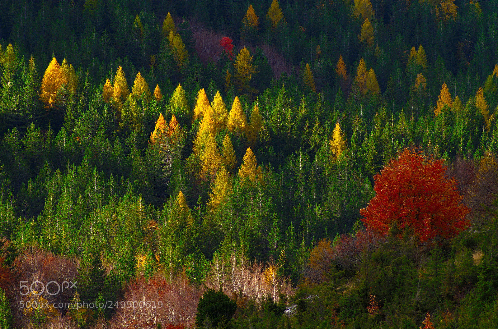 Pentax K-50 sample photo. Autumn in abruzzo 2 photography