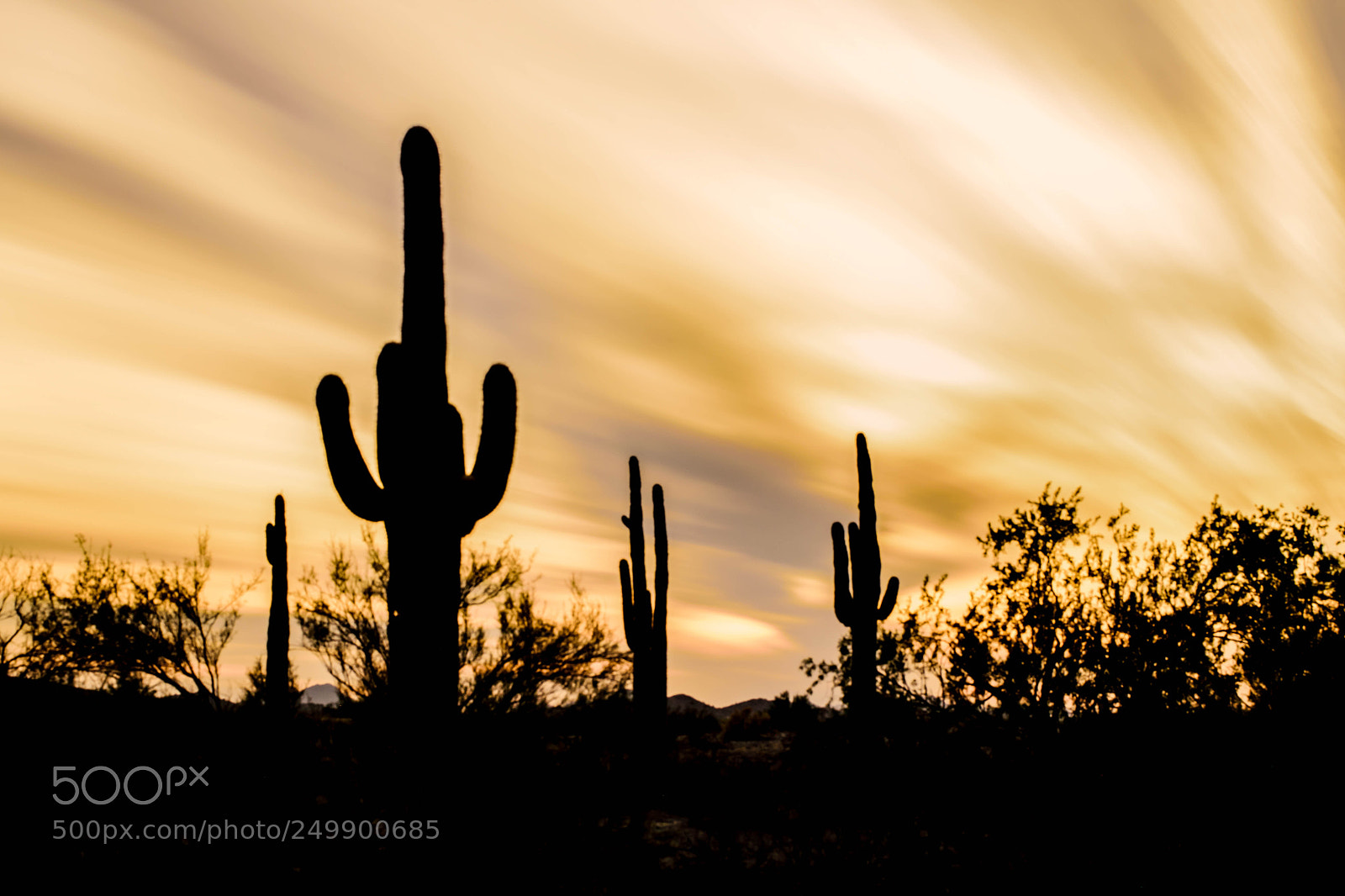 Nikon D5300 sample photo. Surreal skies photography