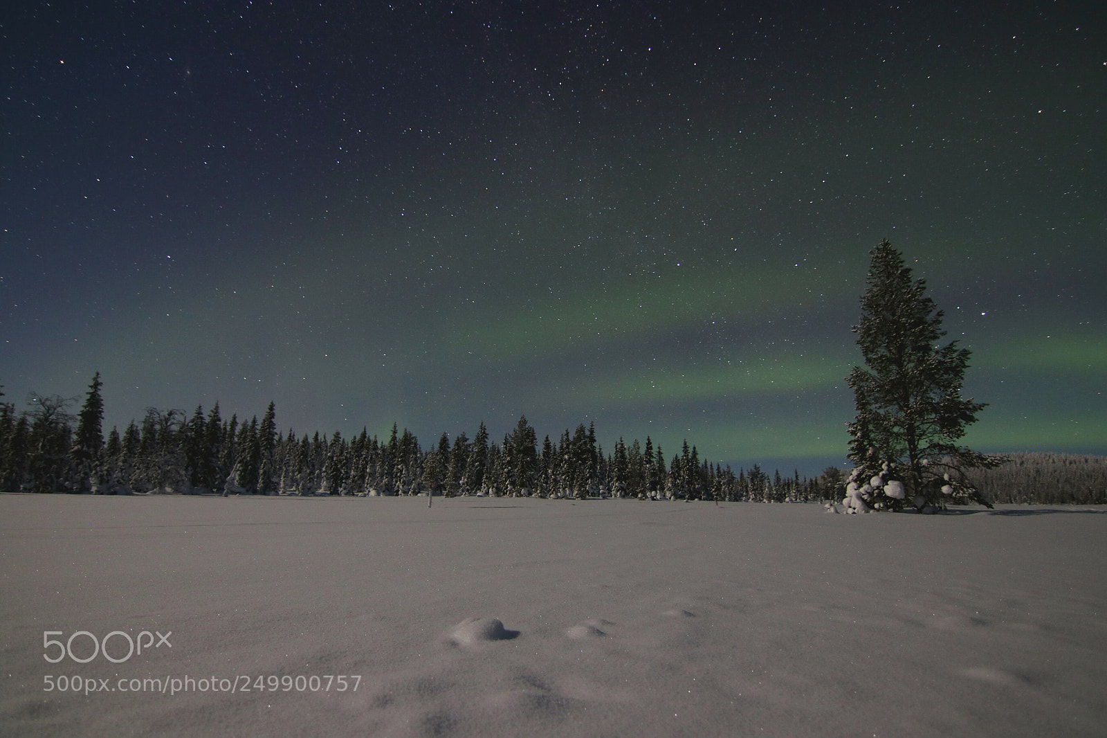 Canon EOS 80D sample photo. Northern lights photography
