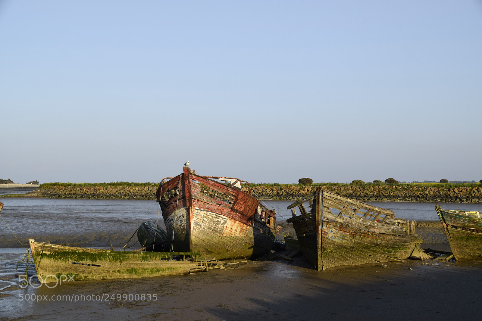 Nikon D5300 sample photo. Cimetière des bateaux photography