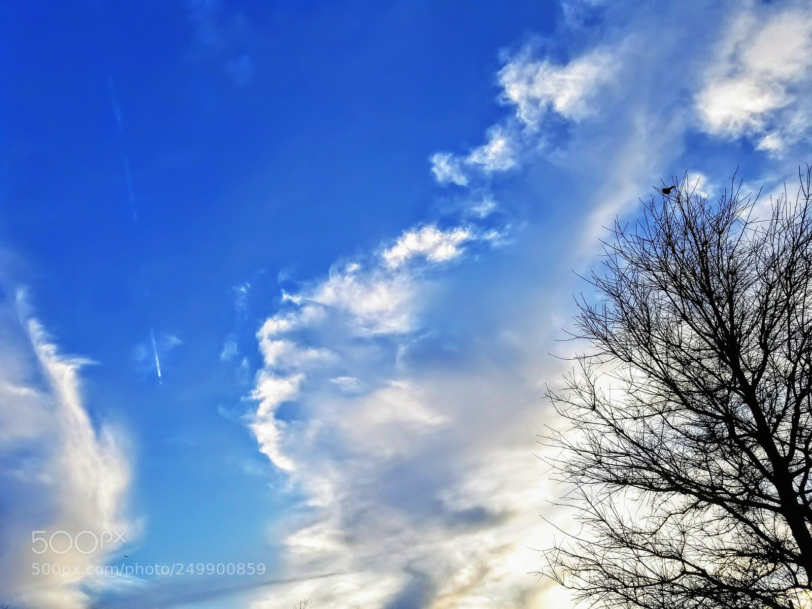 Samsung Galaxy S8 sample photo. Blue sky photography