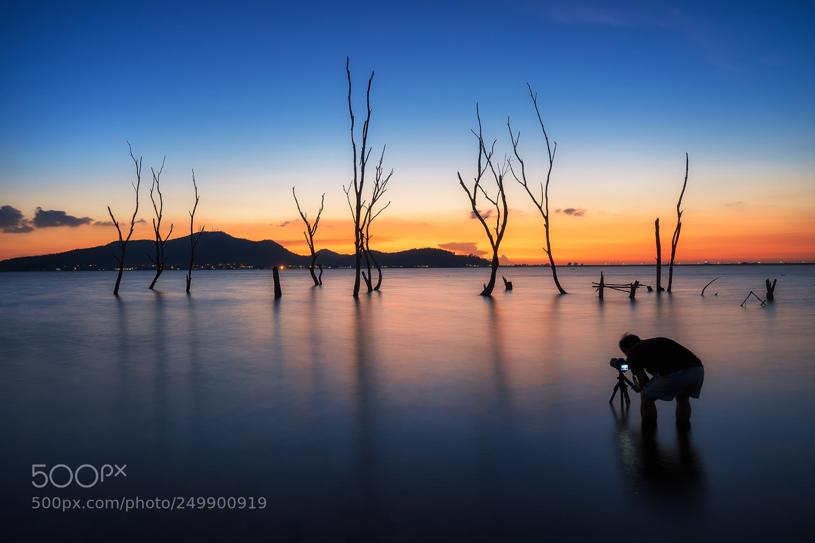 Sony a7 II sample photo. Twilight reflextion photography