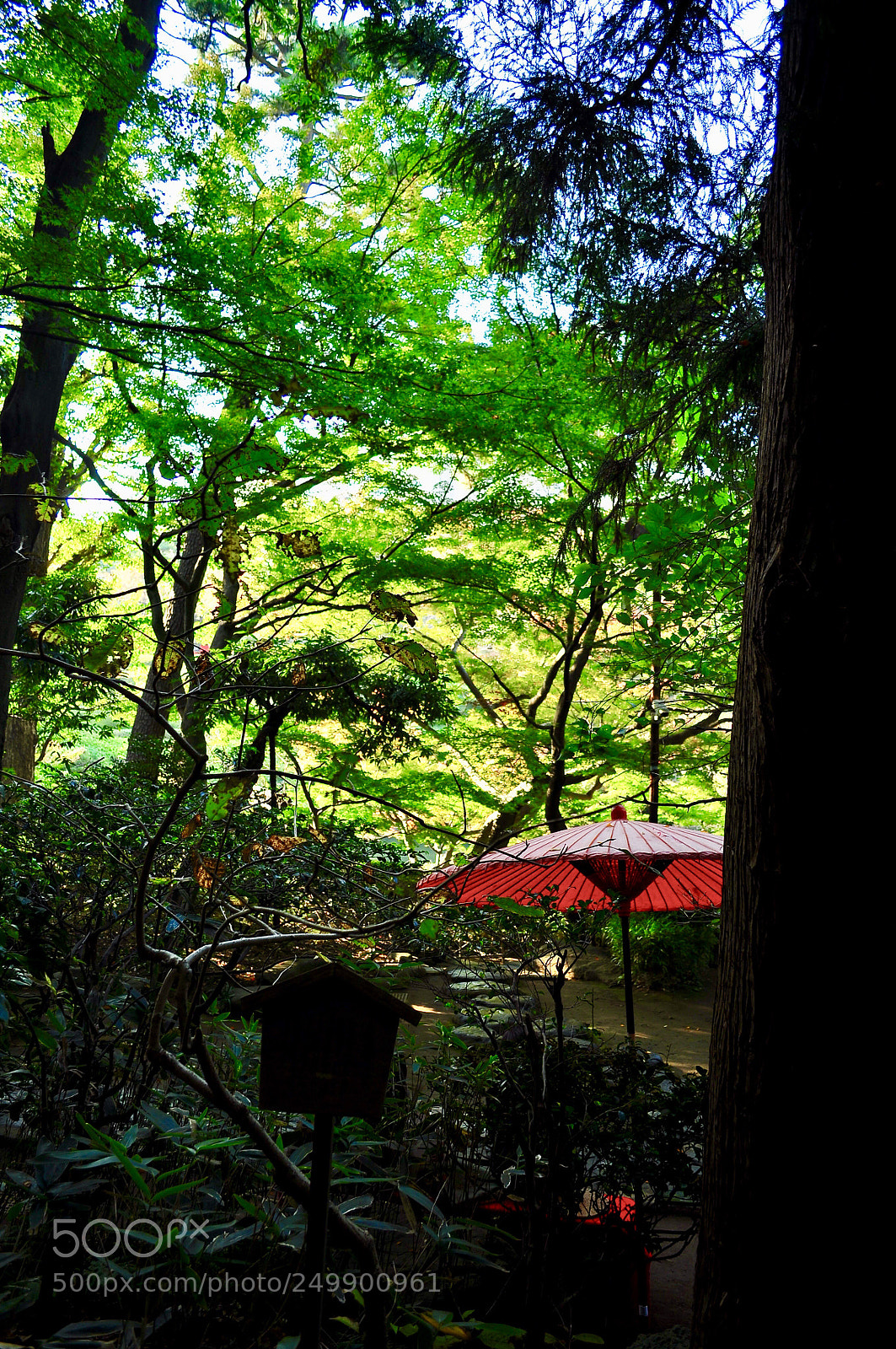 Nikon D5000 sample photo. Primal scene of japan photography