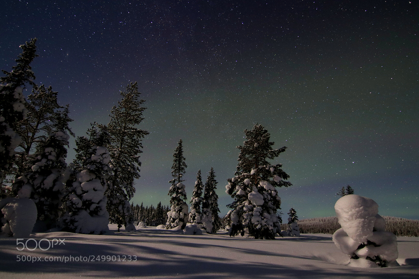 Canon EOS 80D sample photo. Northern lights photography