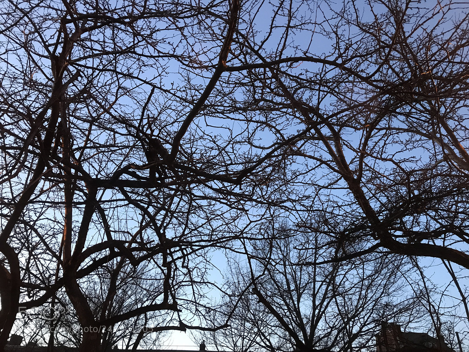 Apple iPhone 7 sample photo. Untitled photography