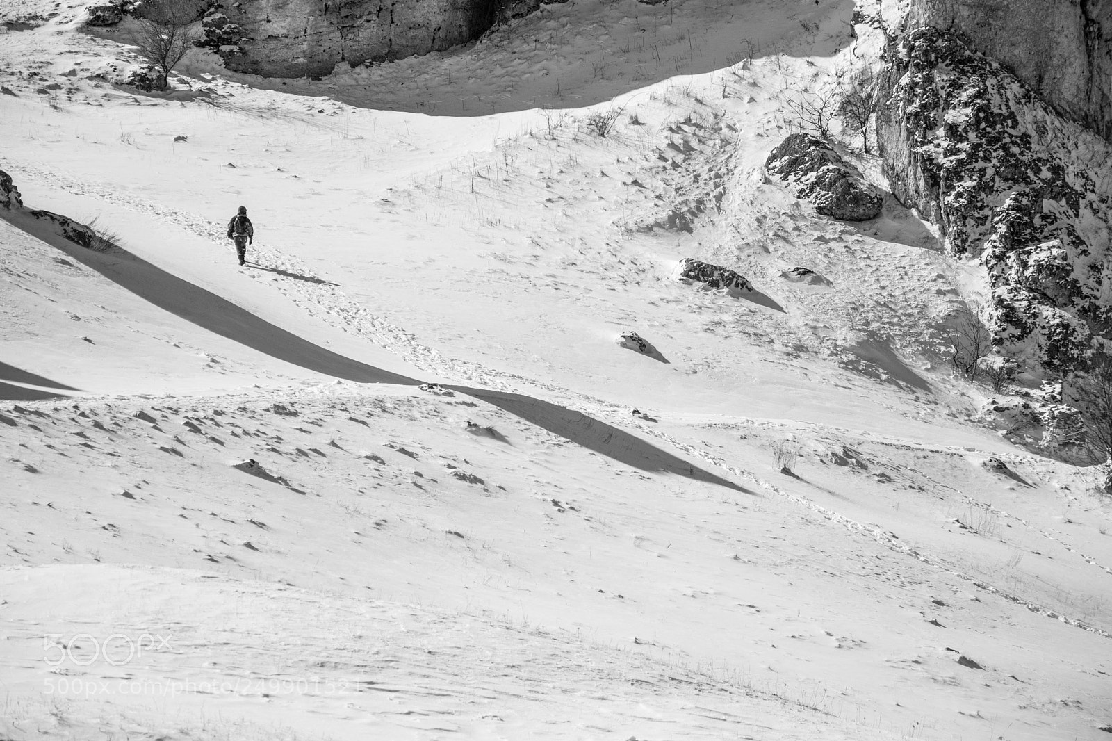 Nikon D5300 sample photo. Winter photography