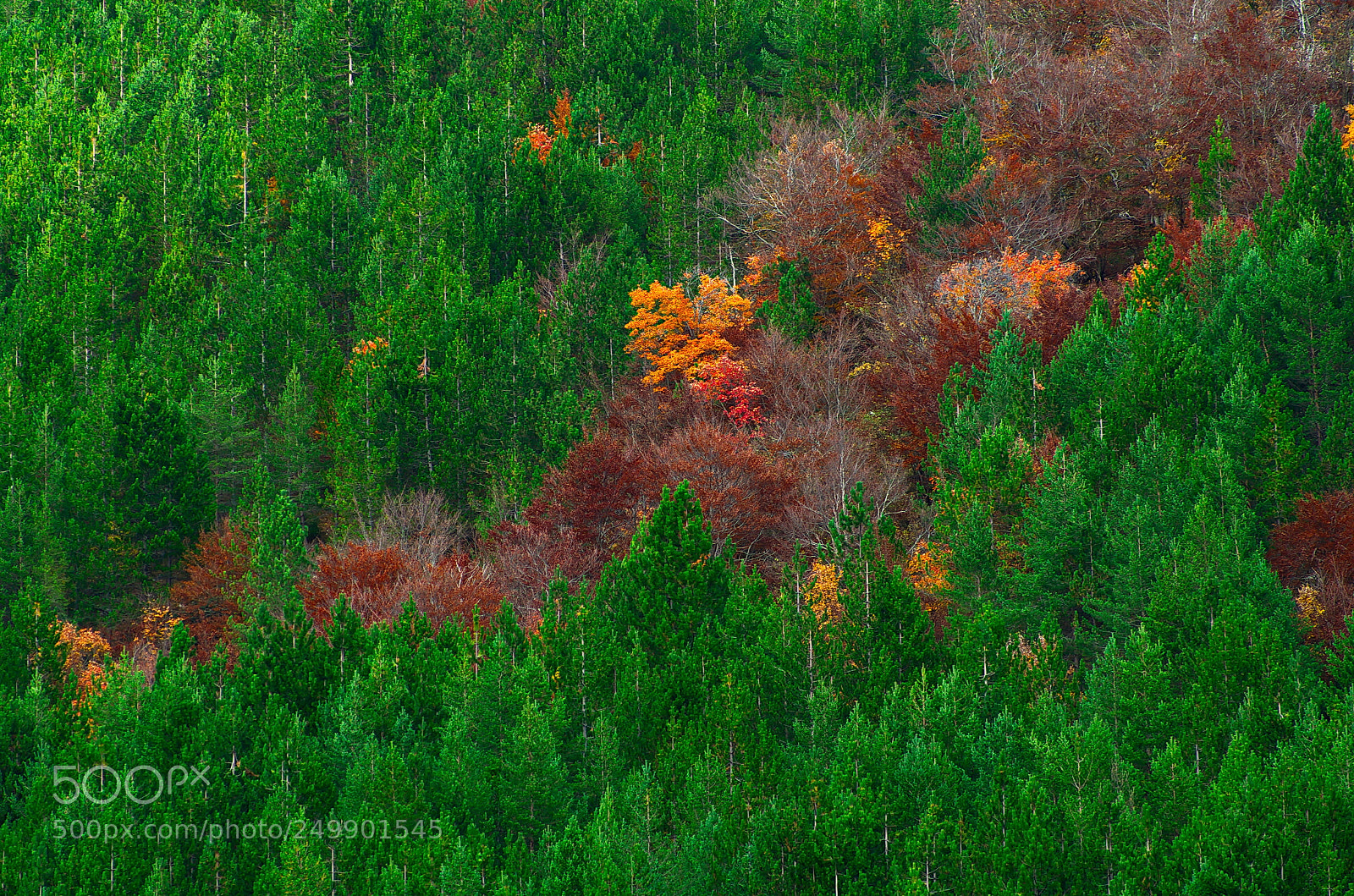 Pentax K-50 sample photo. Autumn in abruzzo 3 photography